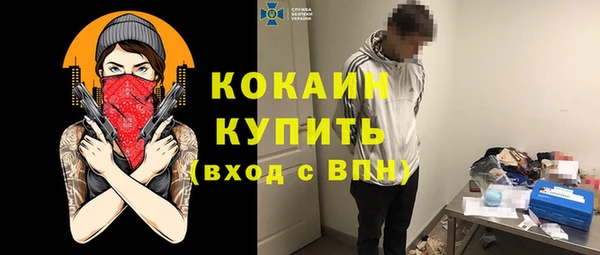твердый Магас