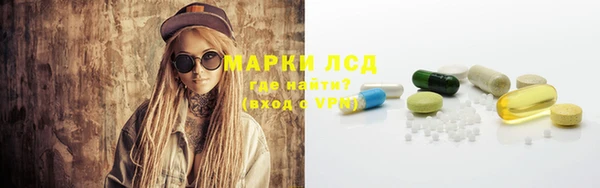 твердый Магас