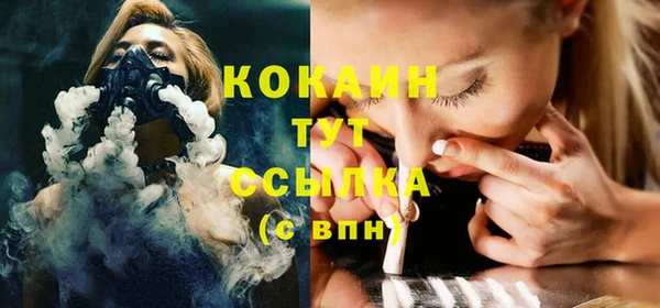твердый Магас