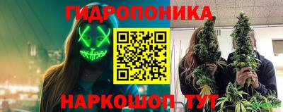Альфа ПВП Канаш