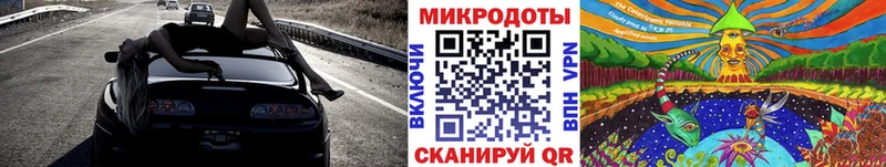 Псилоцибиновые грибы мухоморы  купить наркотик  Черкесск 