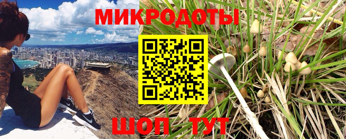 Черкесск  Галлюциногенные грибы ЛСД  Псилоцибиновые грибы Cubensis  Вход с VPN 